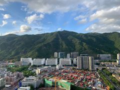 -清晖小苑•顺德地方菜(壹海城店)