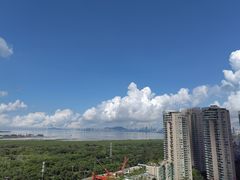 -福田红树林生态公园