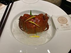 -甄御•海鲜新青岛菜(麦岛店)