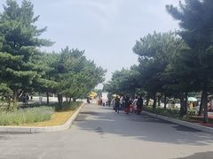 -北陵公园