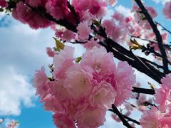 -观澜湖生态运动公社