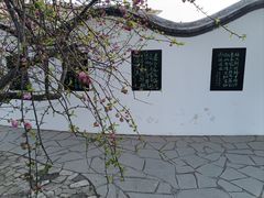 -桃花堤公园