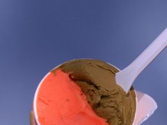 -Dip in Gelato(富民路店)