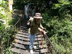 -终南山国家森林公园