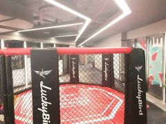 -金吉鸟健身游泳