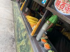 -合肥滨湖国家森林公园