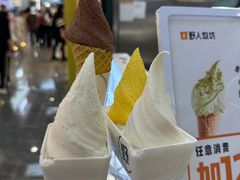 -野人先生现做冰淇淋(西安赛格店)