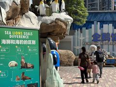-海合安成都极地海洋公园