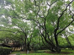 -徐家汇源景区-衡山公园