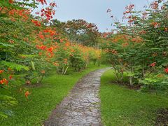 -中国科学院西双版纳热带植物园