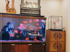 -潮汕壹号·潮汕菜·打边炉·生腌(总店)