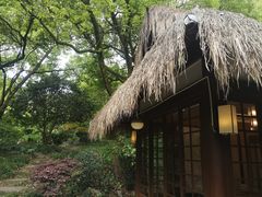 -中国茶叶博物馆(双峰馆区)