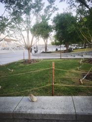 -尤尼可国际影像(万源分店)