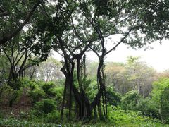 -广州雕塑公园