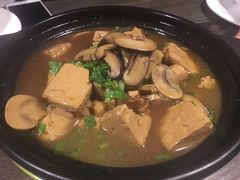 双菇盐卤豆腐-青叶202都市餐厅(迪诺水镇店)