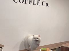 -屋裡·Union Bakery(龙江路店)