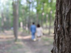 -古柏渡飞黄旅游区