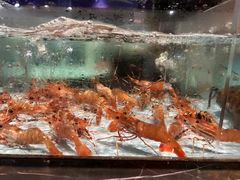 -尚海豆捞(乐虹坊店)