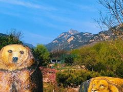 -沂蒙山旅游区龟蒙景区
