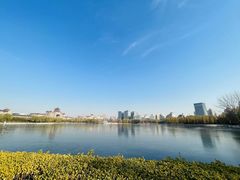 -莲花池公园