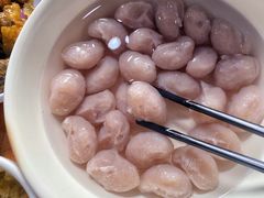 -章记正宗南岗鱼蛋火锅