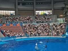 -海合安成都极地海洋公园
