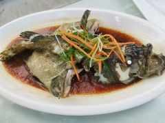 清蒸老虎石斑鱼-范饭椰林川湘味海鲜·椰子鸡(三亚湾椰梦长廊店)