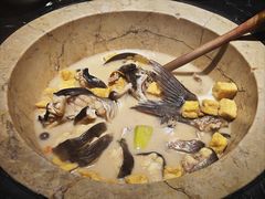 -云海肴云南菜·蒸汽石锅鱼(青岛万象城店)