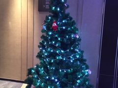 -舟山希尔顿酒店