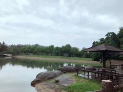 -象山森林公园
