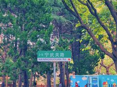 -八大关景区