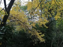 -汇龙潭