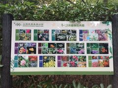 -共青国家森林公园-售票处