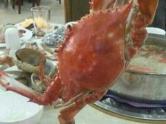 android_upload_pic-春华海鲜城(广场西苑店)