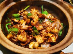 生啫八爪鱼-啫神·广州地标美食(北京路店)