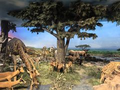 -国家自然博物馆