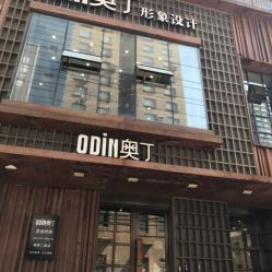 -ODIN 奥丁形象设计 