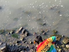 -东钱湖旅游度假区