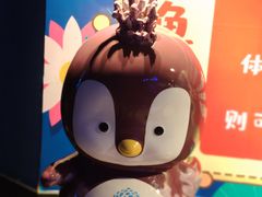 -成都浩海立方海洋公园