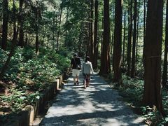 -罗田薄刀峰风景区