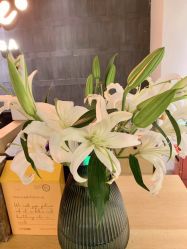 -FineYoga梵音瑜伽·普拉提