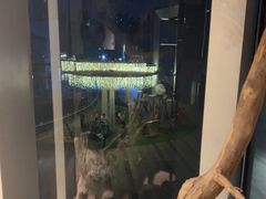 -炊江南·上海菜(国展华漕店)