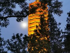 -西海子公园