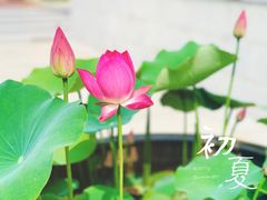 -尚贤河湿地