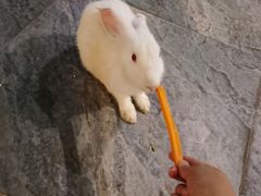 -绿色星球动物主题公园
