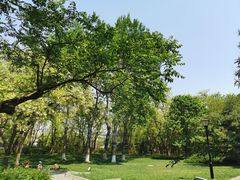 -玲珑塔公园