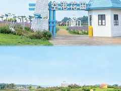 -空港花田景区