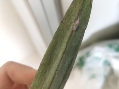 -华润万家(凯德和平广场店)