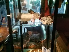 -杂咖zacup(领展中心城店)