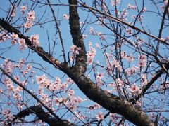 -盘龙城国家考古遗址公园